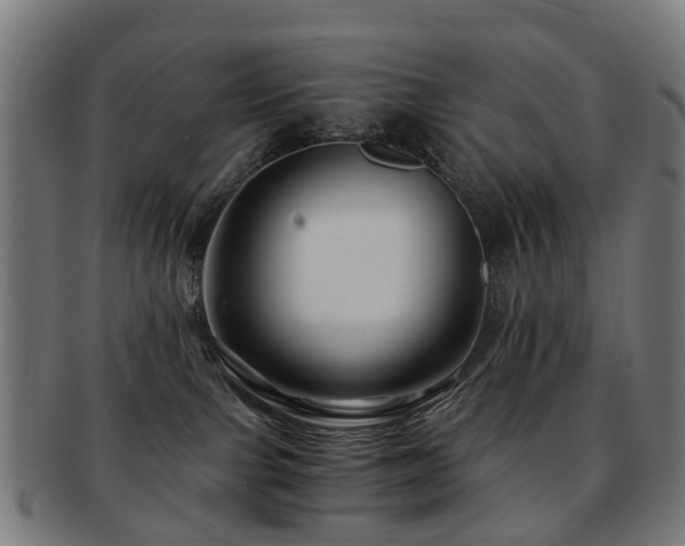 X0000091900091200709051411