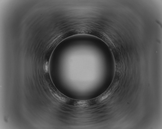 X0000091900095200709051411