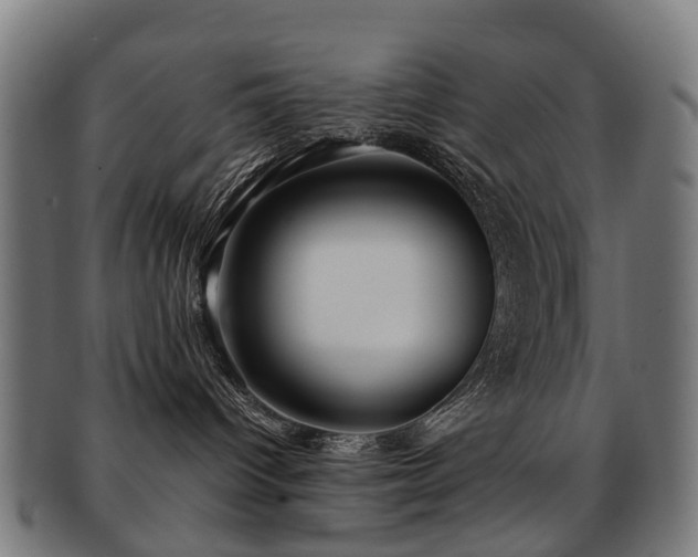 X0000091900096200709051411