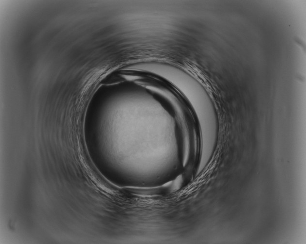 X0000091900097200709051410