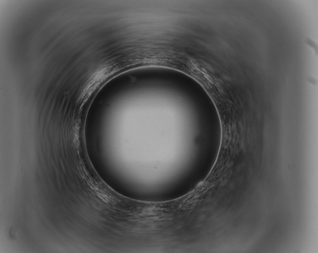 X0000091900098200709051410