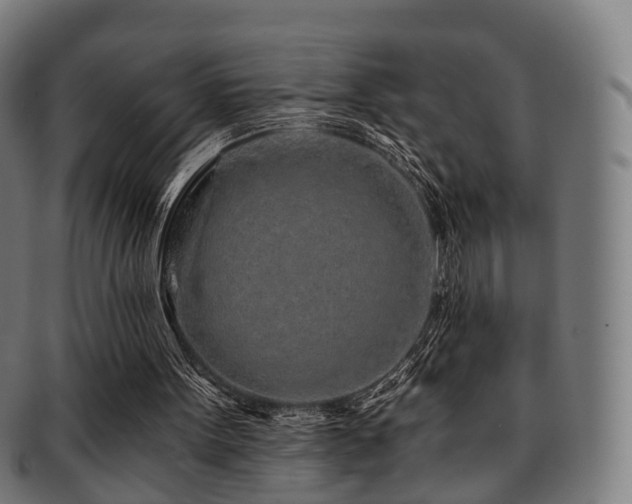 X0000091900099200709051410