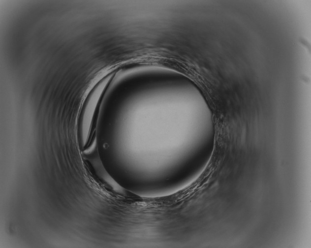 X0000091900100200709051410