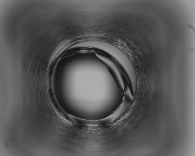 X0000091900101200709051410