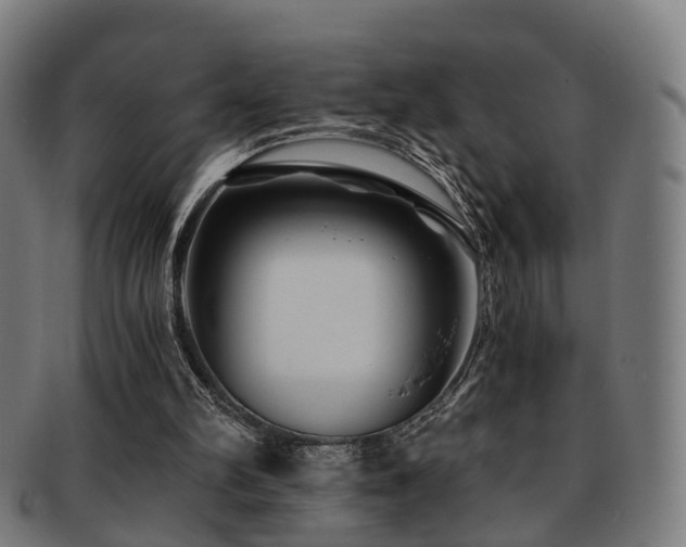 X0000091900102200709051410