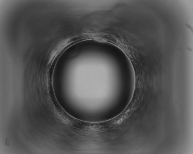 X0000091900103200709051410