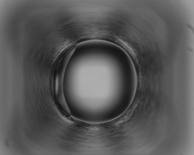 X0000091900105200709051410