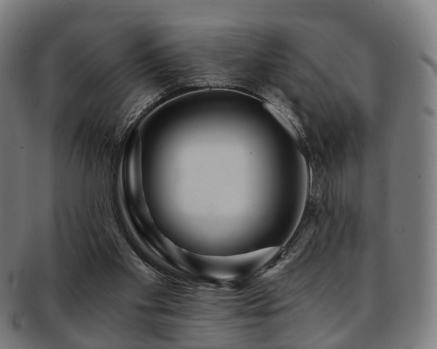 X0000091900109200709051410