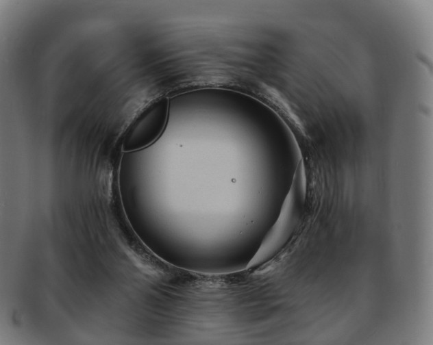 X0000091900110200709051410