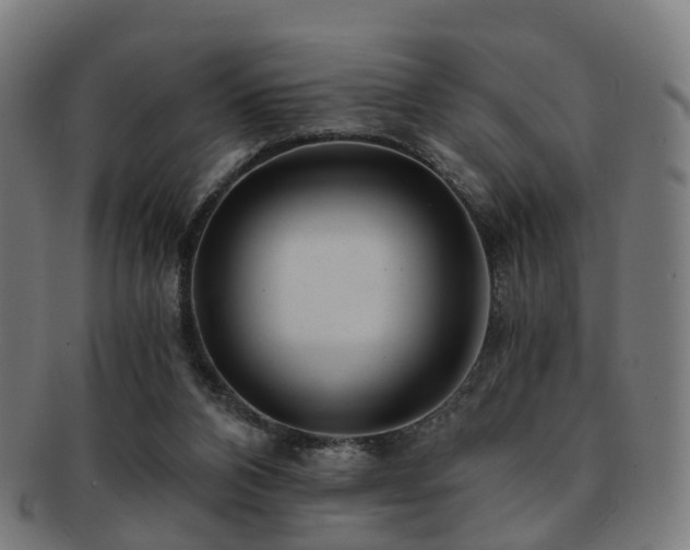 X0000091900112200709051410