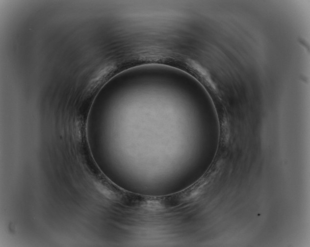 X0000091900114200709051410