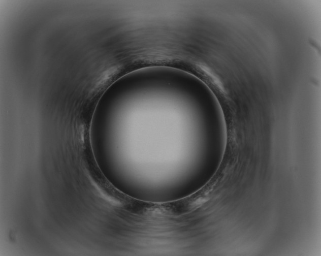 X0000091900115200709051410