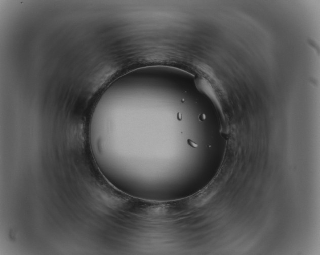 X0000091900116200709051410