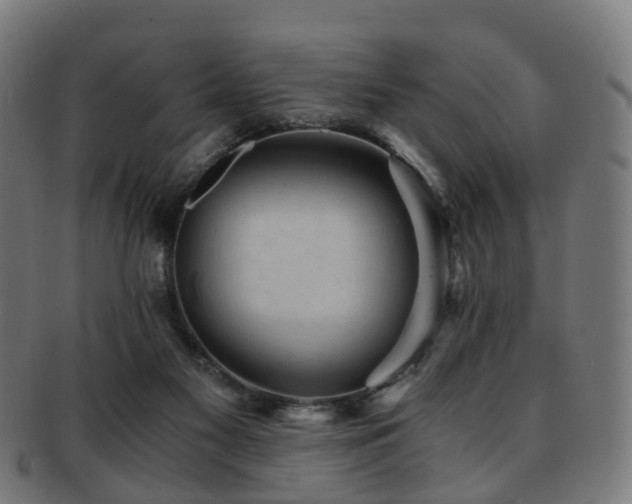 X0000091900117200709051410