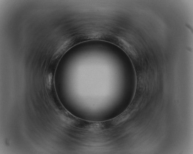 X0000091900118200709051410