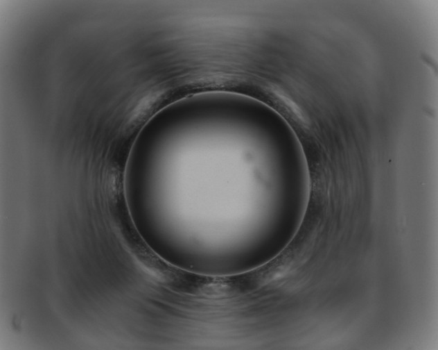 X0000091900119200709051410