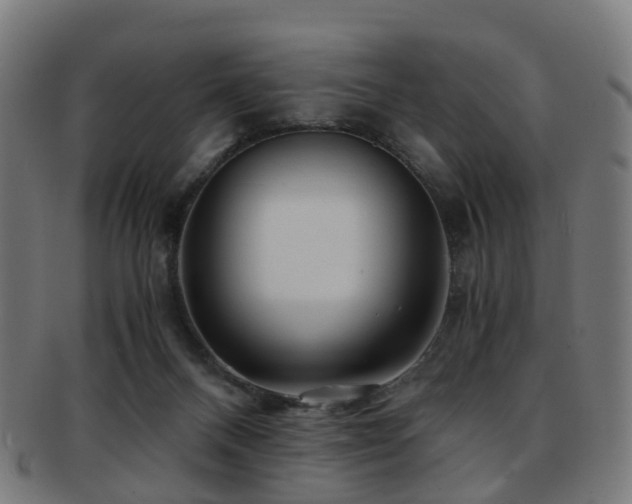 X0000091900120200709051410