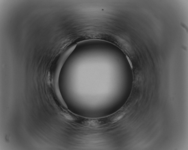 X0000091900121200709051410