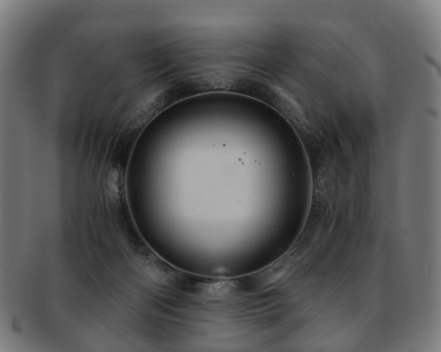 X0000091900122200709051410