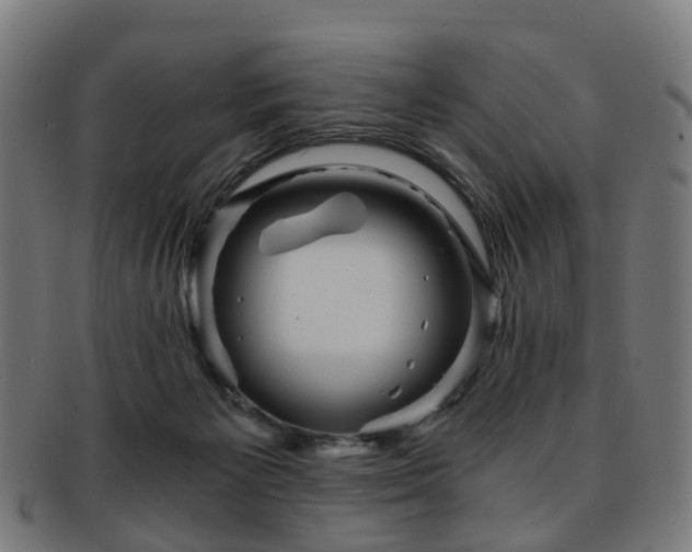 X0000091900125200709051410