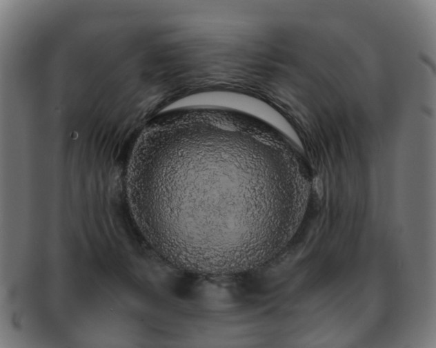 X0000091900127200709051410