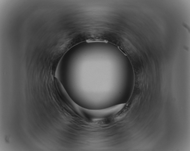 X0000091900129200709051410