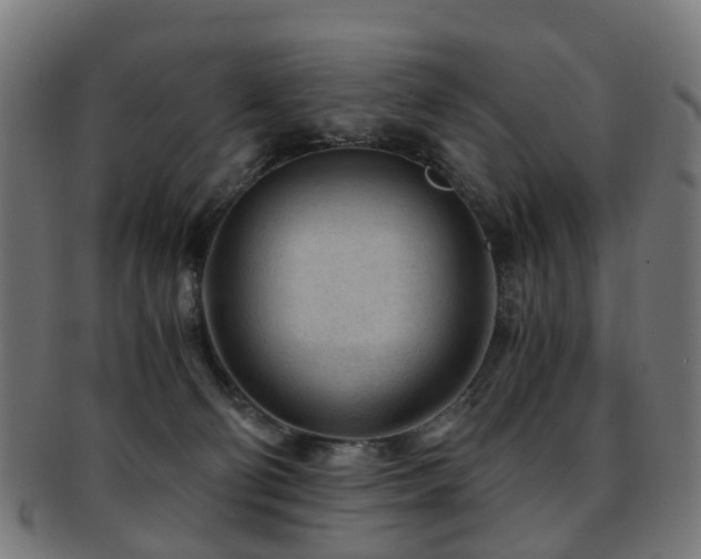 X0000091900130200709051410