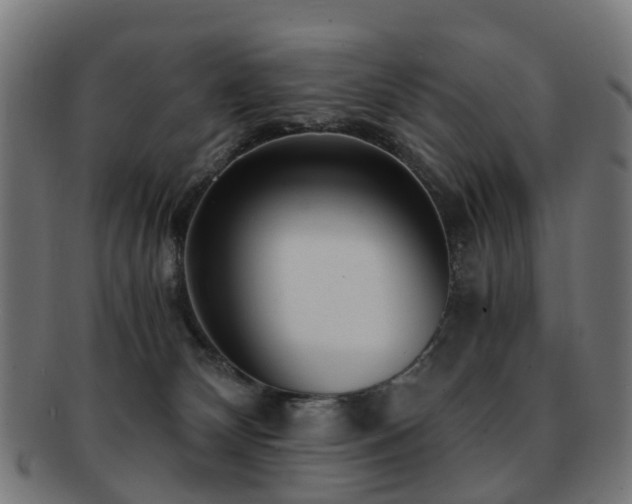 X0000091900132200709051410