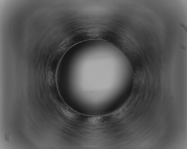 X0000091900136200709051410