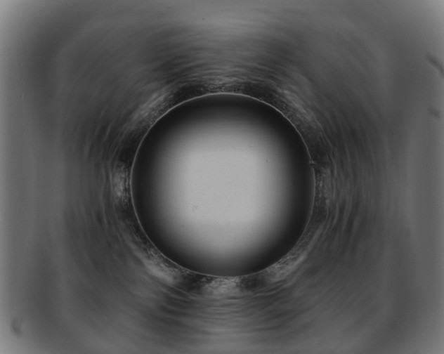 X0000091900138200709051410