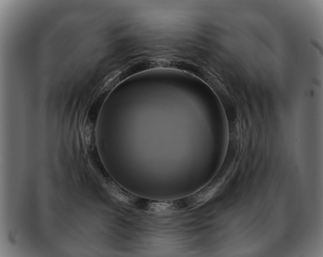 X0000091900139200709051410