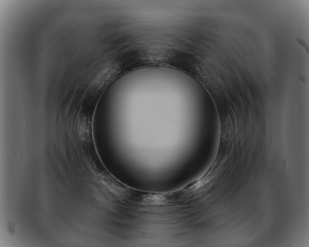 X0000091900140200709051410