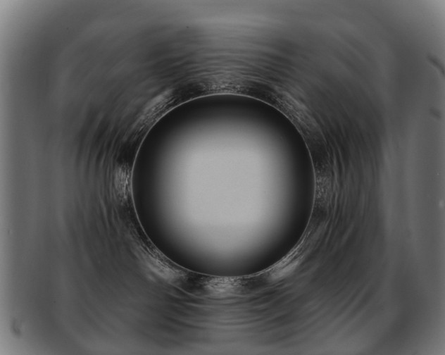 X0000091900142200709051410