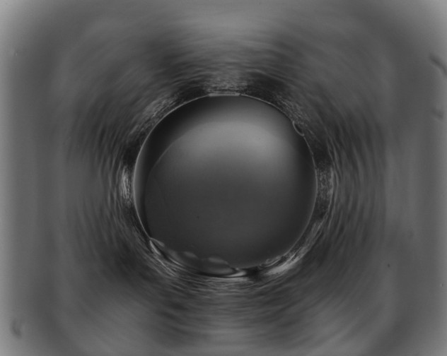 X0000091900143200709051410