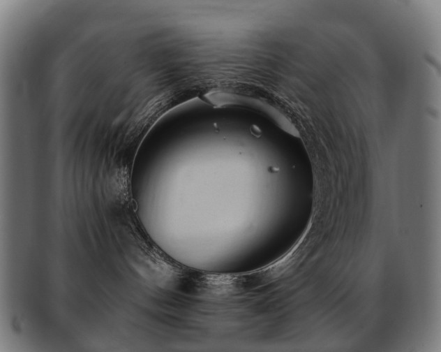 X0000091900144200709051410