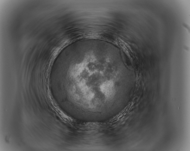 X0000091900145200709051409