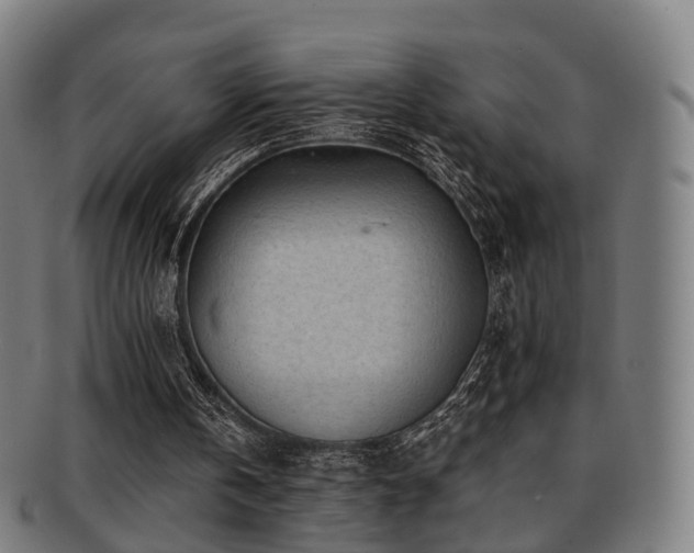 X0000091900146200709051409