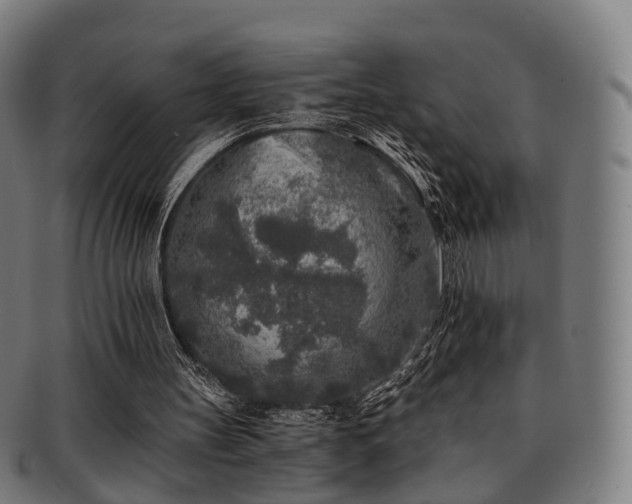 X0000091900147200709051409