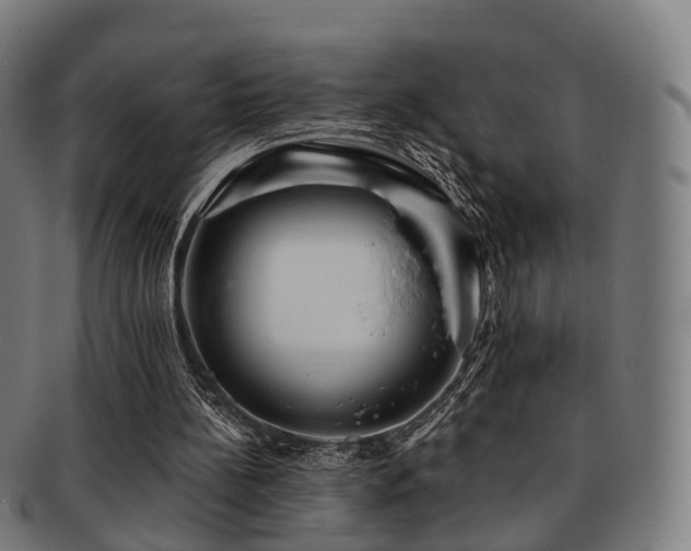 X0000091900148200709051409