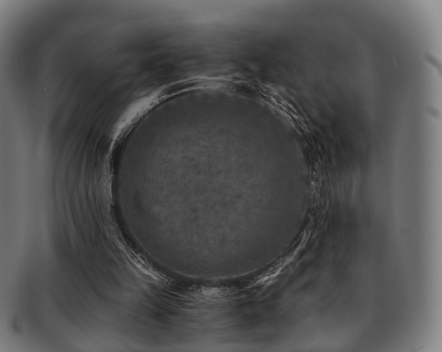 X0000091900149200709051409