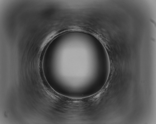 X0000091900151200709051409