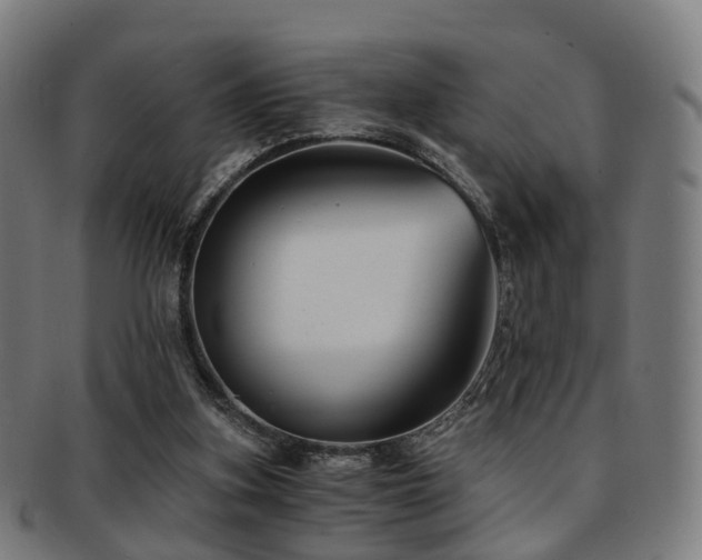 X0000091900155200709051409