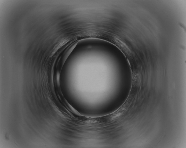 X0000091900158200709051409