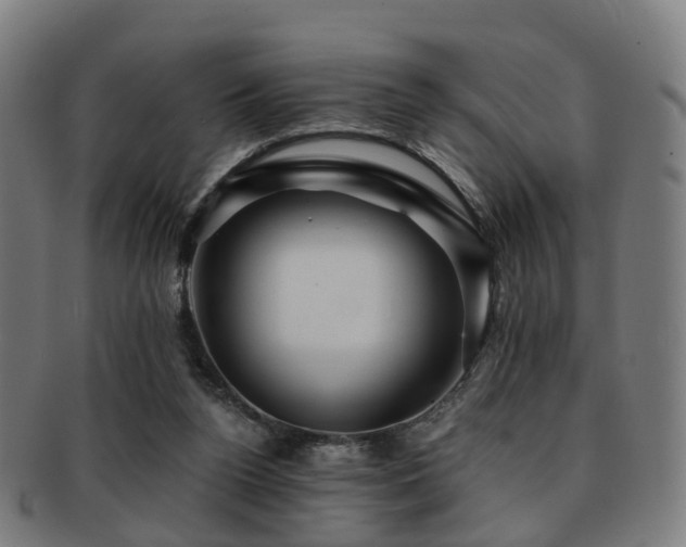 X0000091900160200709051409