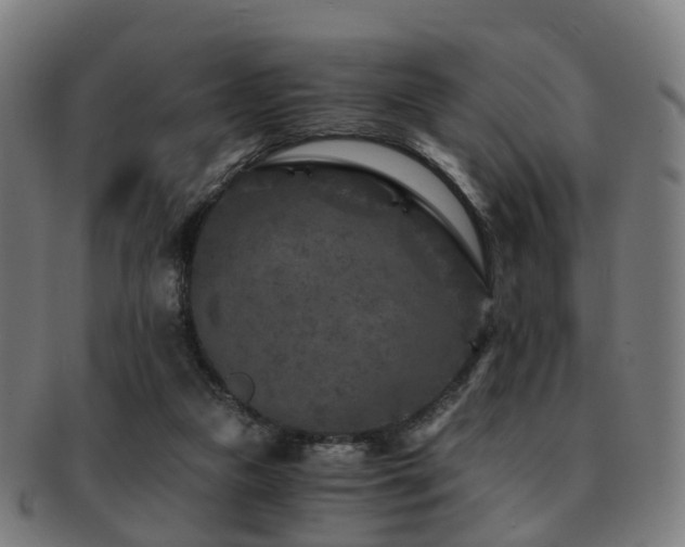 X0000091900161200709051409