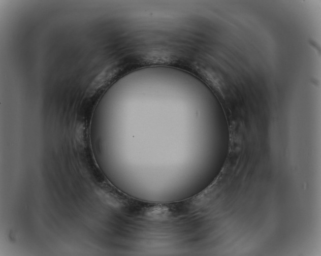 X0000091900162200709051409