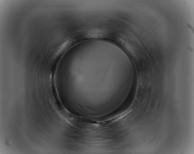 X0000091900163200709051409