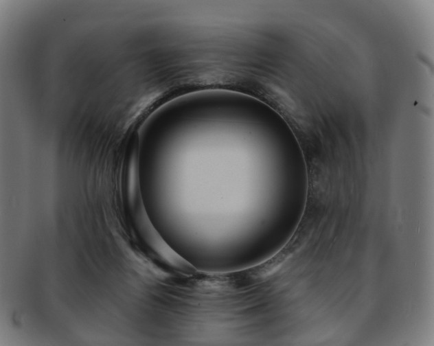 X0000091900164200709051409