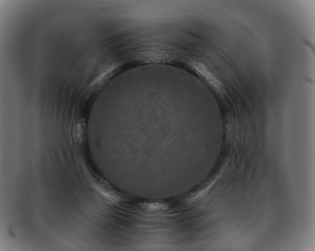 X0000091900165200709051409