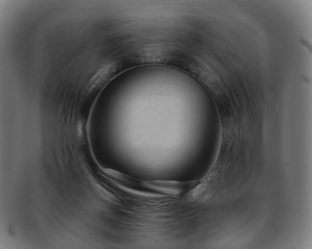 X0000091900166200709051409